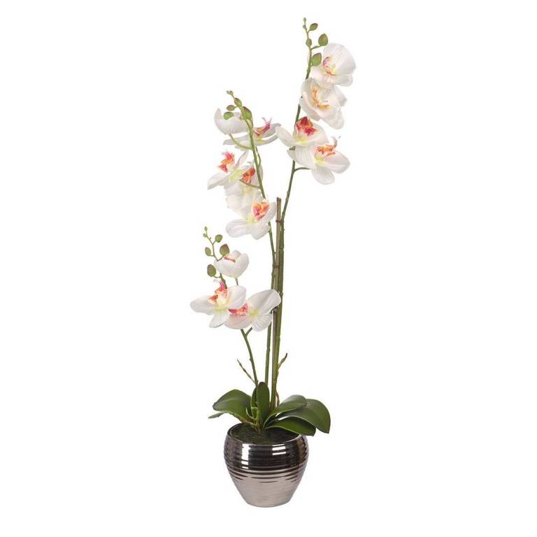 Орхидеи в керамической вазе, Д120 Ш120 В620, белый, YW-SUH27 фото на RBNG