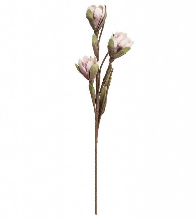 Цветок из фоамирана "Магнолия весенняя", В 1000 мм, aj - 20 фото на RBNG