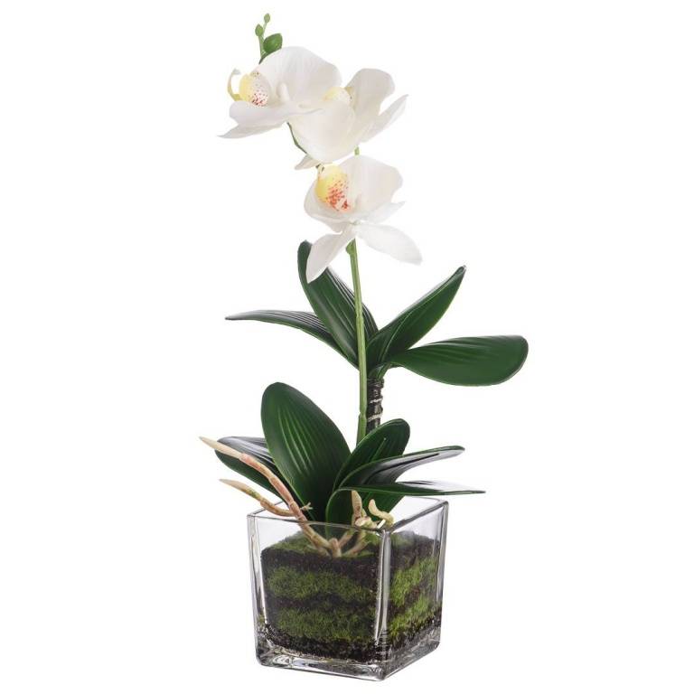 Цветочная композиция "Белая орхидея", В360, YW-38 фото на RBNG