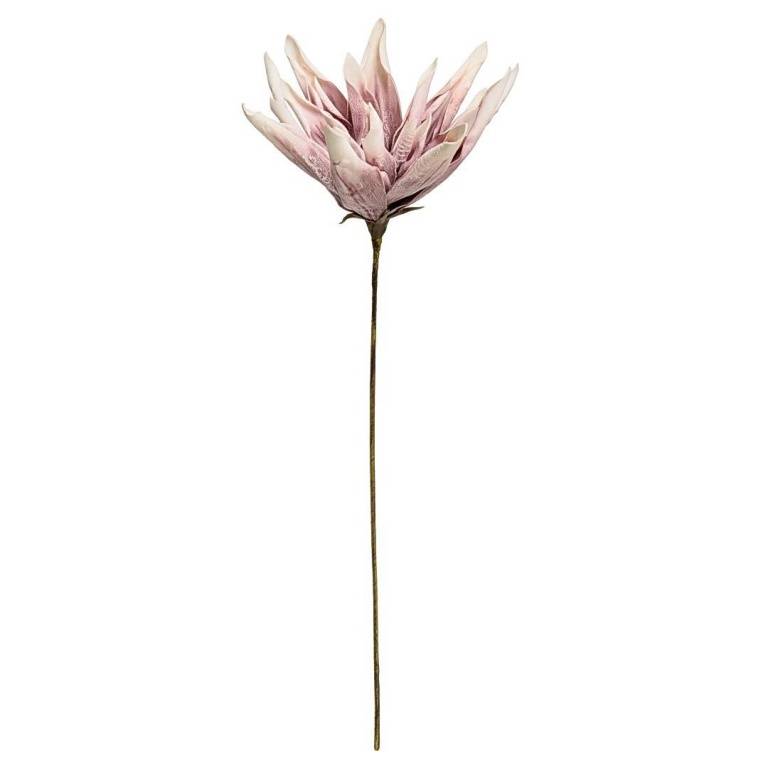 Цветок из фоамирана "Эпифиллум весенний", В 1140 мм, aj - 22 фото на RBNG